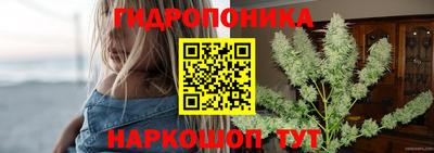 гашик Северобайкальск