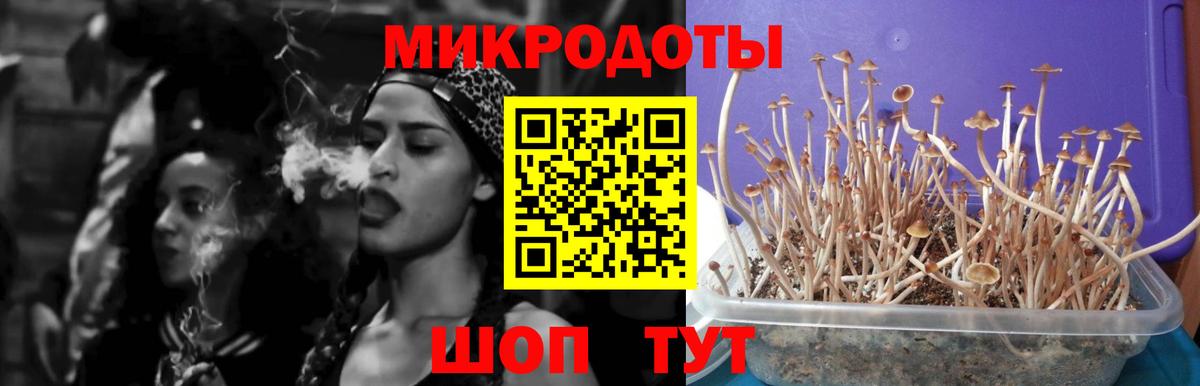 Галлюциногенные грибы прущие грибы  Вход с VPN  Нягань 